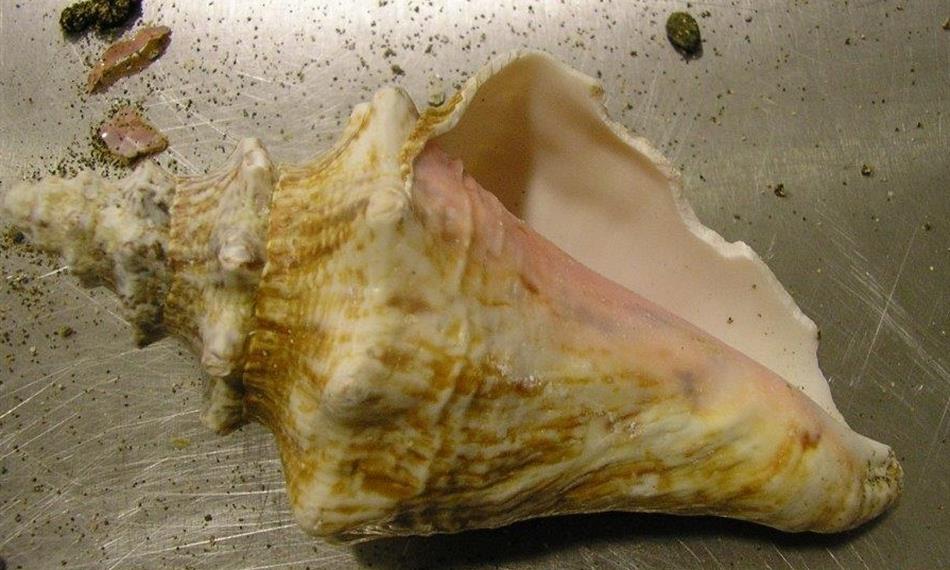 2016-6-28-817foto 3.jpg